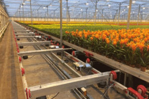 Opleiding op het gebied van Industriële automatisering in tuinbouw