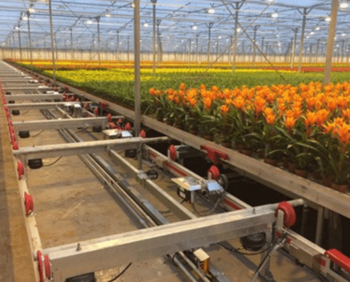 Opleiding op het gebied van Industriële automatisering in tuinbouw